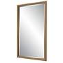 5_Cinnabar Road Coloma 24" x 40" Textured Gold Wall Mirror more views
