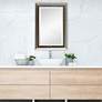 1_Cinnabar Road Maris Warm Silver 24" x 36" Beaded Wall Mirror