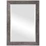 2_Cinnabar Road Meadowview Silver Toned 26" x 36" Wall Mirror