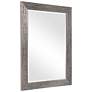 5_Cinnabar Road Meadowview Silver Toned 26" x 36" Wall Mirror more views