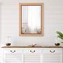 1_Cinnabar Road Solenne Beige 28" x 38" Rectangular Wall Mirror