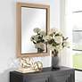 3_Cinnabar Road Solenne Beige 28" x 38" Rectangular Wall Mirror more views