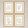 2_Citrus Fresh 21" High 4-Piece Framed Wall Art Set