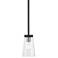 Cityview 1 Light Black Mini Pendant with Brushed Nickel Accents