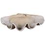 Clam Shell 22 3/4" Wide Stone Accent Bowl by Uttermost