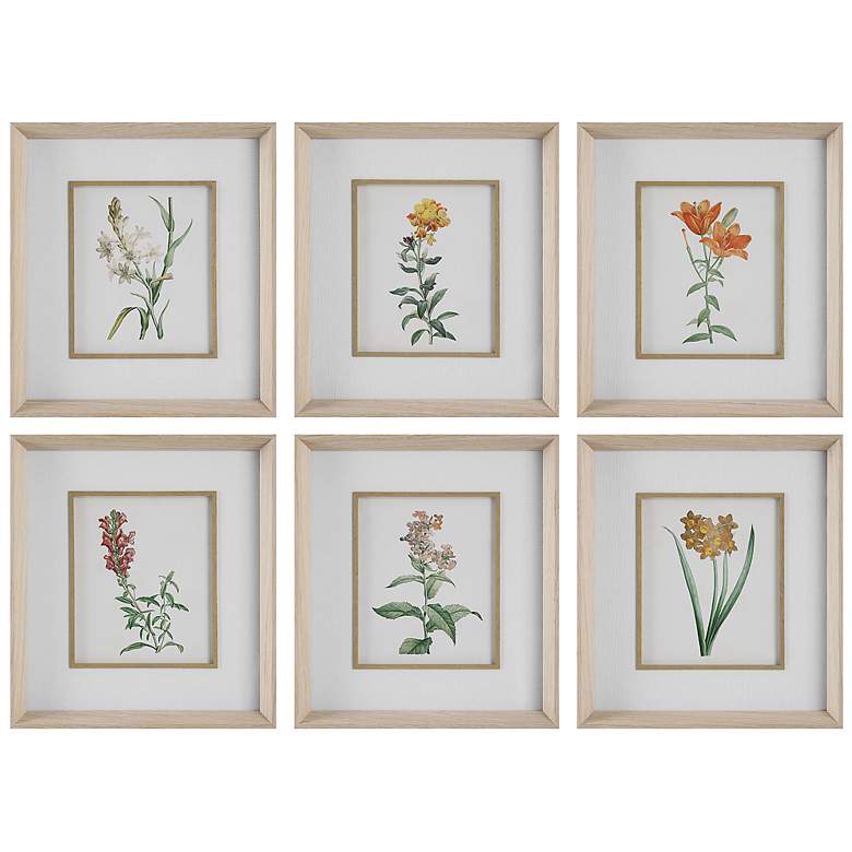 Image 2 Classic Botanicals 19" High 6-Piece Framed Wall Art Set