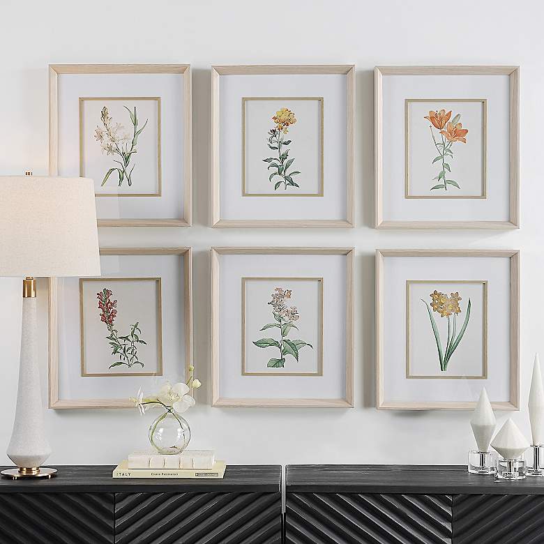 Image 1 Classic Botanicals 19" High 6-Piece Framed Wall Art Set