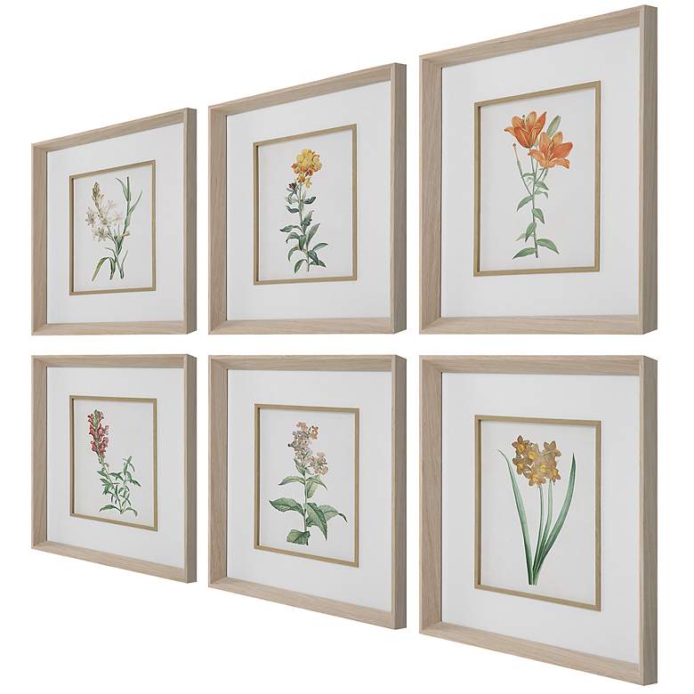 Image 4 Classic Botanicals 19" High 6-Piece Framed Wall Art Set more views