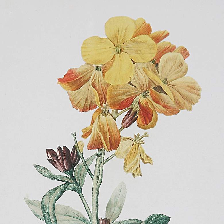 Image 5 Classic Botanicals 19" High 6-Piece Framed Wall Art Set more views