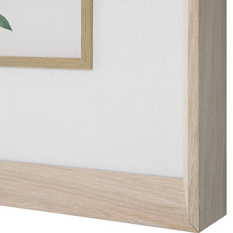 Image 6 Classic Botanicals 19" High 6-Piece Framed Wall Art Set more views