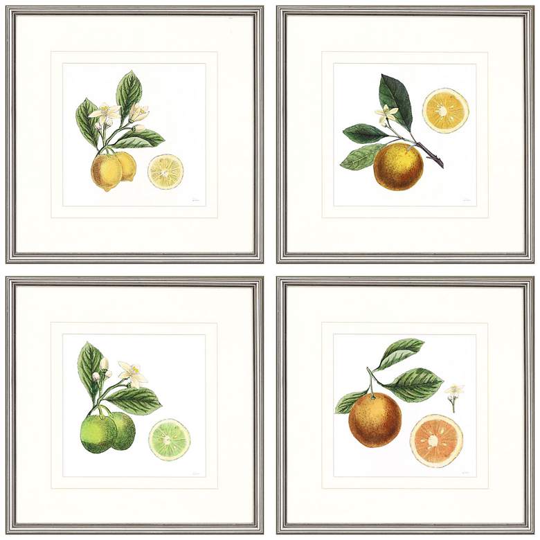 Image 1 Classic Citrus 22" Square 4-Piece Framed Wall Art Set