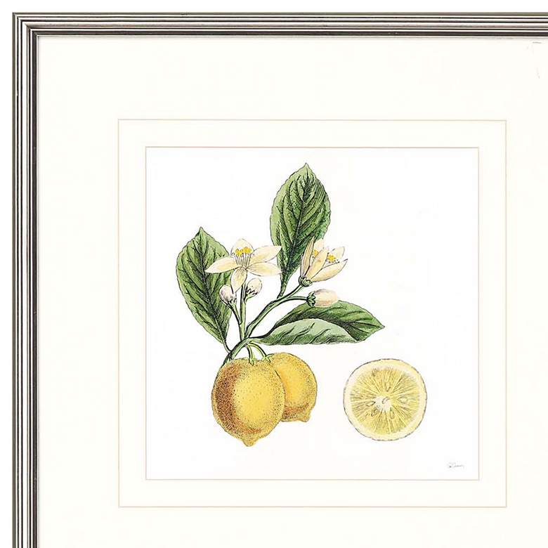 Image 3 Classic Citrus 22 inch Square 4-Piece Framed Wall Art Set more views