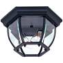 Classico 2-Light Black Cast Aluminum Outdoor Ceiling Light