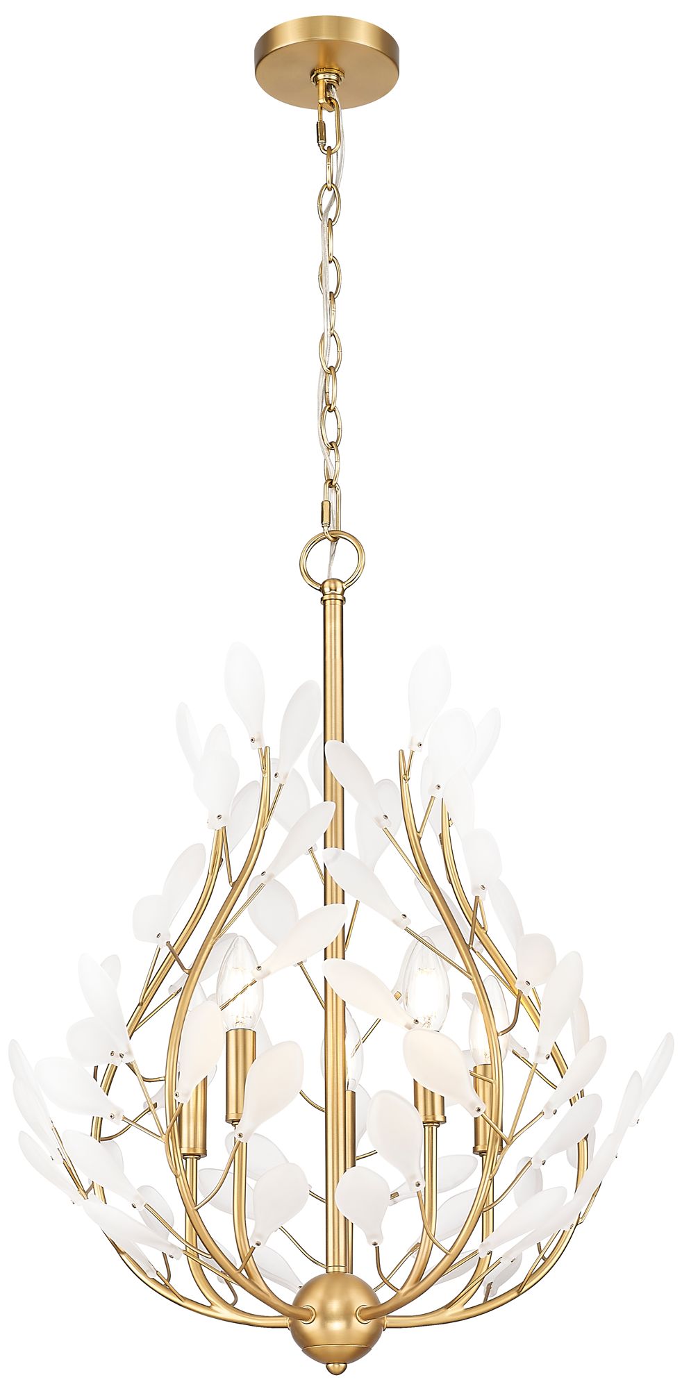 Image 5 Claudine by Z-Lite 24 inch Modern Gold 5 Light Chandelier more views