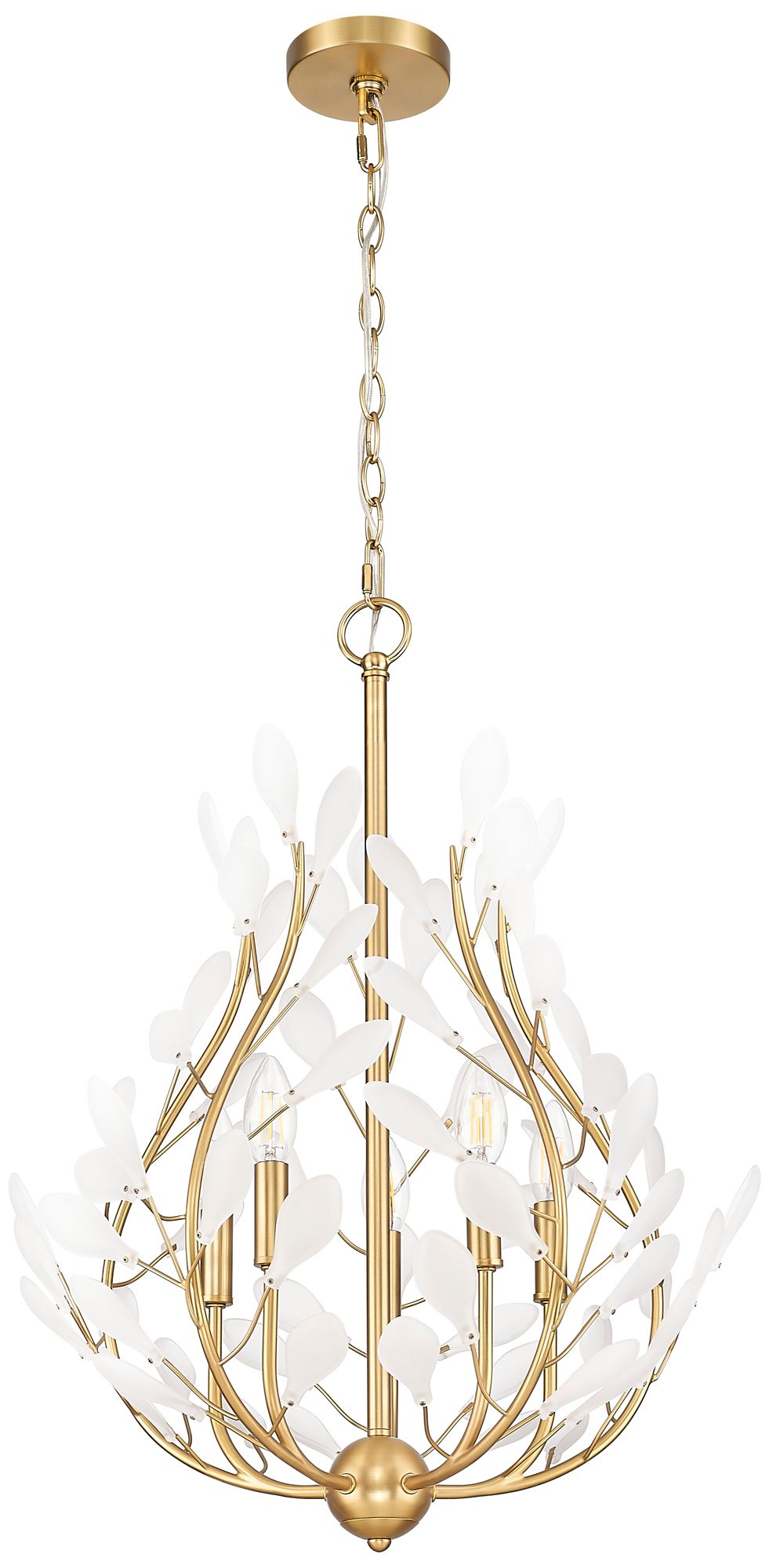 Image 7 Claudine by Z-Lite 24 inch Modern Gold 5 Light Chandelier more views