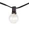 Clear Bulb 24-Light Black Cord 25-Foot Party Light String
