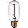 Clear Edison Style 60 Watt Standard T14 Light Bulb 6-Pack