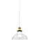 Clear Glass 8 1/2" Wide Dome Pendant Light