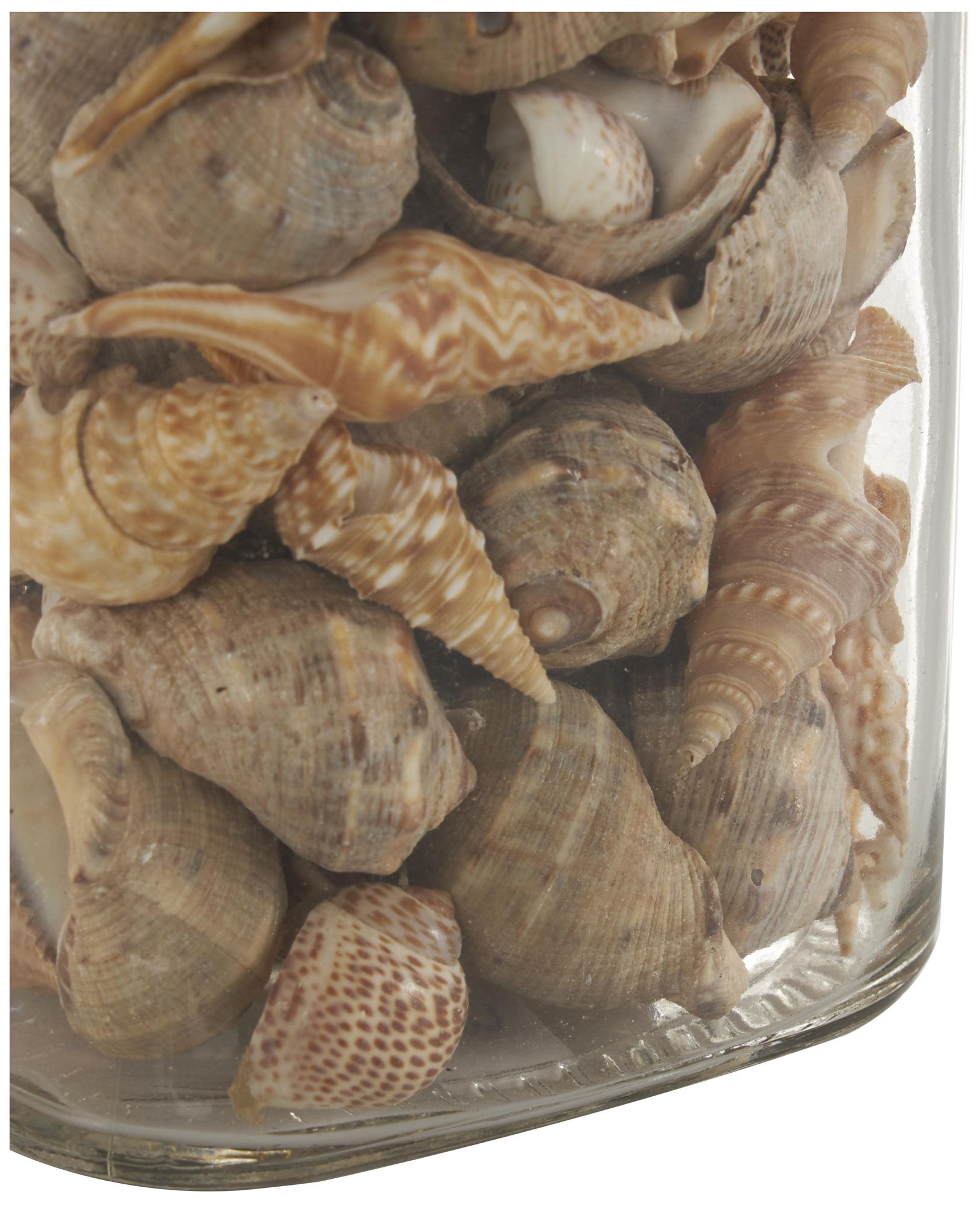 Image 4 Clear Glass Nautical Orbs & Vase Filler, S/3 3"W, 6"H more views