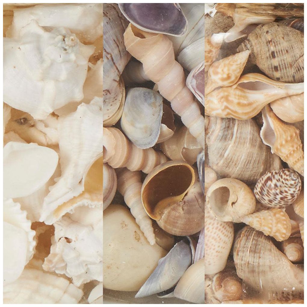 Clear Glass Nautical Orbs & Vase Filler, S/3 3"W, 6"H