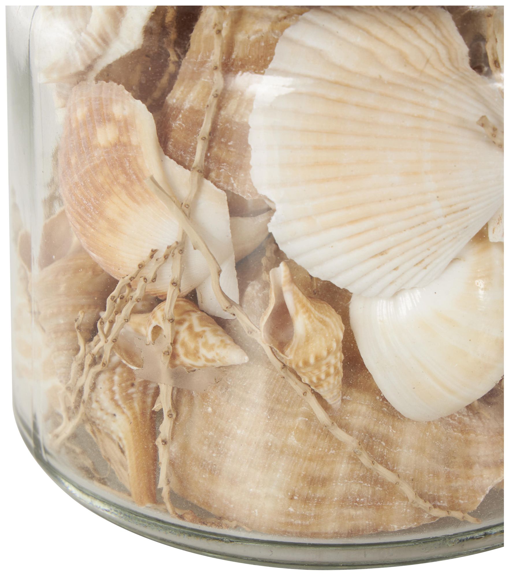 Image 4 Clear Glass Nautical Orbs & Vase Filler, S/3 4"W, 4"H more views