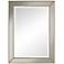 Clementine Gold with Smoke Glass 30" x 40" Wall Mirror