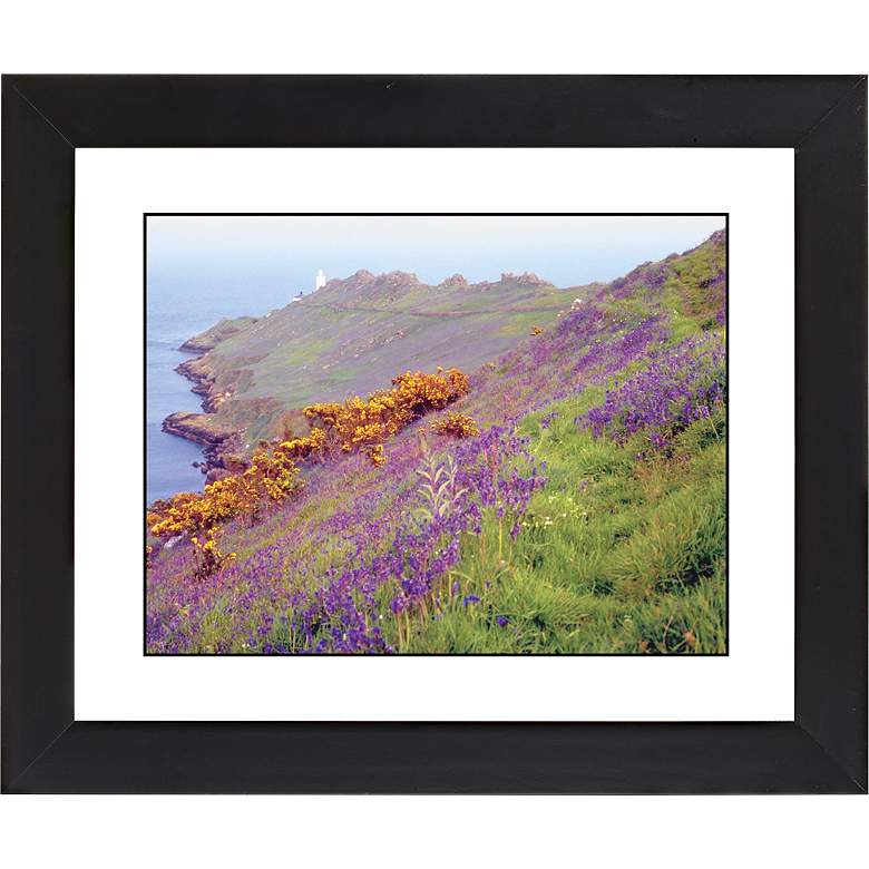 Image 1 Cliff Flowers Black Frame Giclee 23 1/4 inch Wide Wall Art