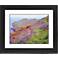 Cliff Flowers Black Frame Giclee 23 1/4" Wide Wall Art