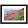 Cliff Flowers Giclee 41 3/8" Wide Wall Art