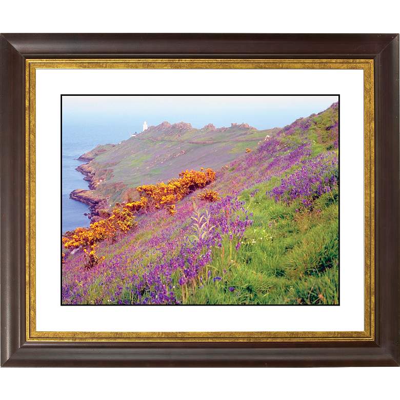 Image 1 Cliff Flowers Gold Bronze Frame Giclee 20 inch Wide Wall Art