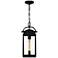Clifton 1-Light Earth Black Outdoor Hanging Lantern
