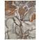 Clio Abstract Indoor Gray Area Rug 39K5F 3'-10" x 6'