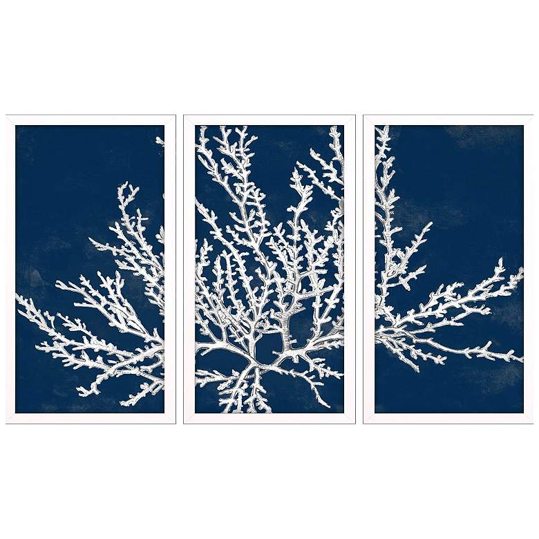 Image 1 Coastal Coral 13"W x 25"H Framed Art Set of 3