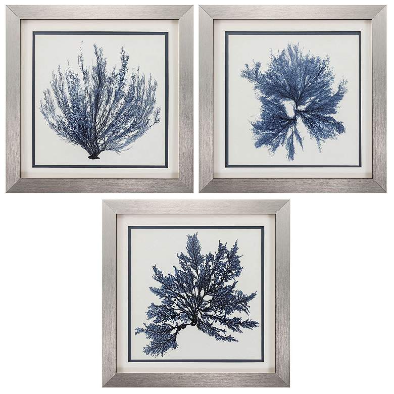Image 1 Coastal Seaweed 22"W x 22"H Framed Art Set of 3