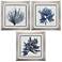 Coastal Seaweed 22"W x 22"H Framed Art Set of 3