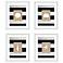 Coastal Shells 4-Piece 24 3/4" Square Framed Wall Art Set