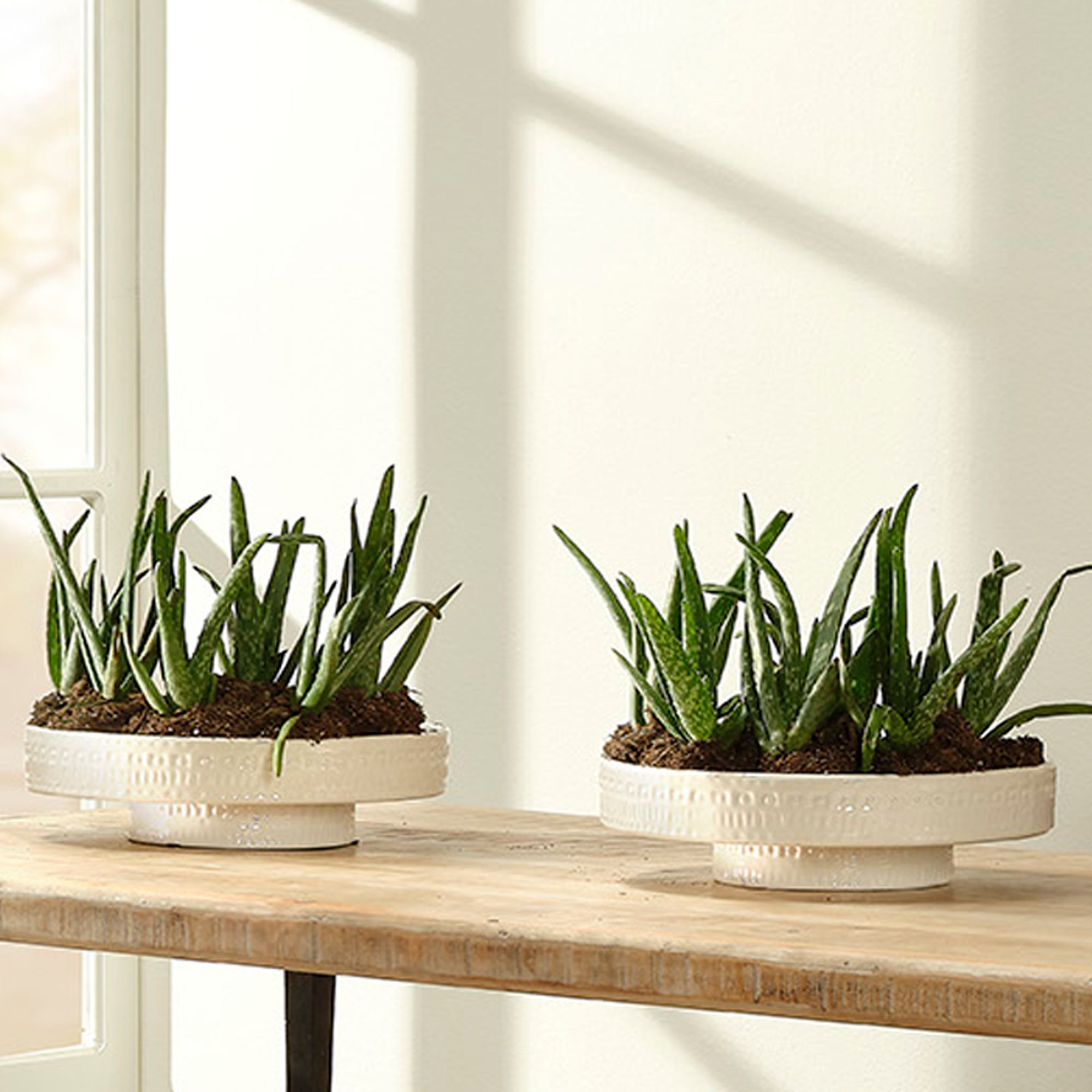 Image 6 Coco 13 1/4" Wide White Modern Ceramic Pedestal Bowl more views