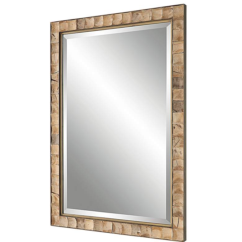 Image 3 Cocos Dark Gold 27 3/4 inch x 41 1/2 inch Rectangular Wall Mirror more views