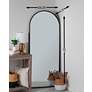 5_Colca Matte Black Metal 28" x 68" Arch Top Floor Mirror more views