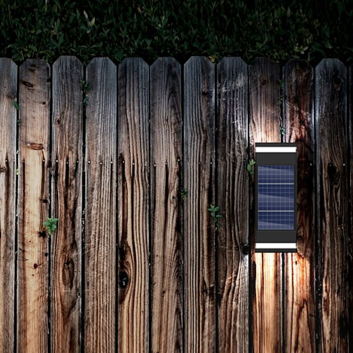 cole solar lights