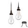 Coleman Bronze 2-Light Swag Pendant