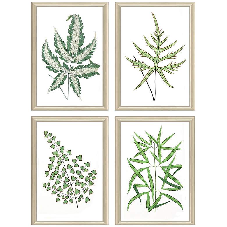 Image 1 Collect Leaves 14"W x 20"H Framed Art Set of 4