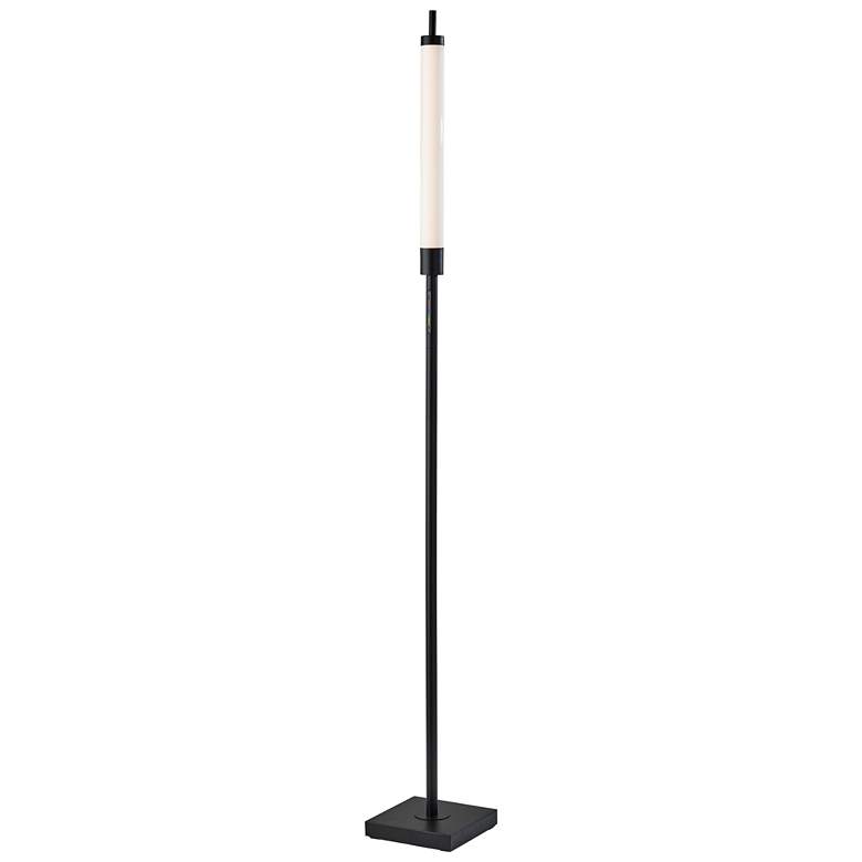 Image 1 Collin LED Color Changing Floor Lamp
