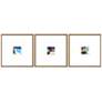 1_Color Squares II 21"W x 21"H Framed Art Set of 3