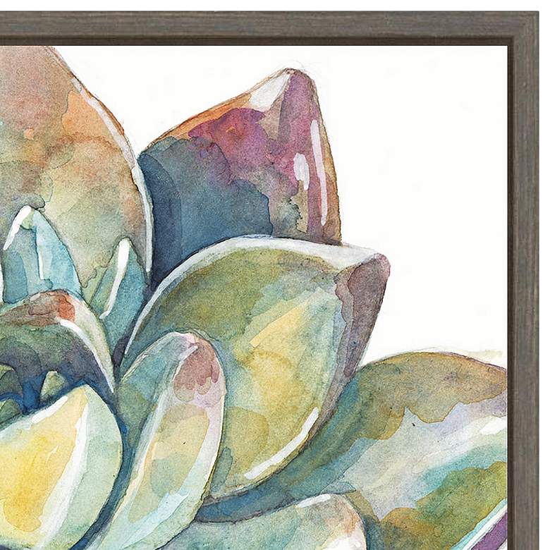 Image 3 Colorful Succulent II 16" Square Framed Wall Art more views