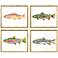 Colorful Trout 21"W x 17"H Coastal Framed Art Set of 4