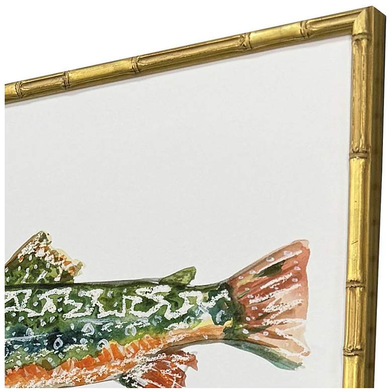 Image 3 Colorful Trout 21"W x 17"H Coastal Framed Art Set of 4 more views