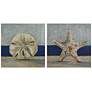 Conch and Star Fish 24" Square 2-Piece Wood Wall Art Set