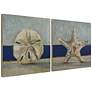 Conch and Star Fish 24" Square 2-Piece Wood Wall Art Set