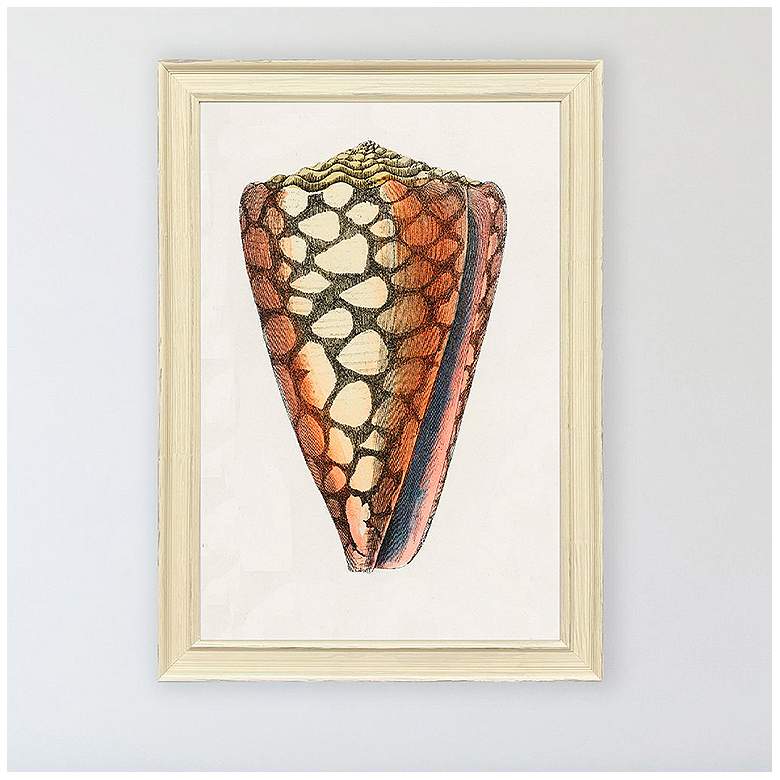 Image 1 Conch Study I 24"W x 34"H Framed Art